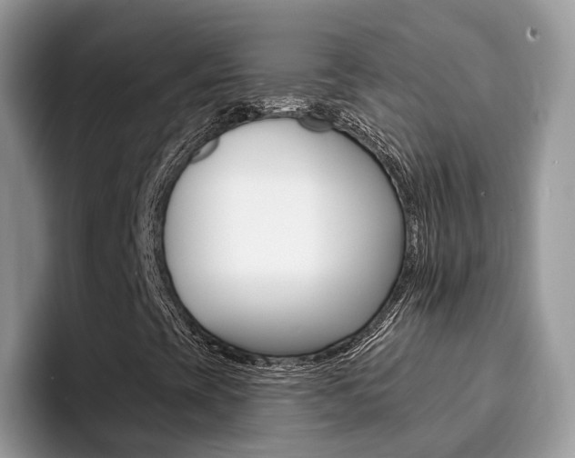 X0000094941393200711291012