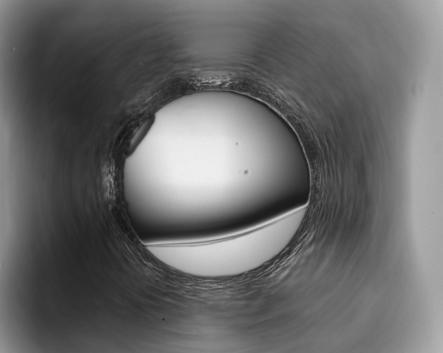 X0000094941394200711291012