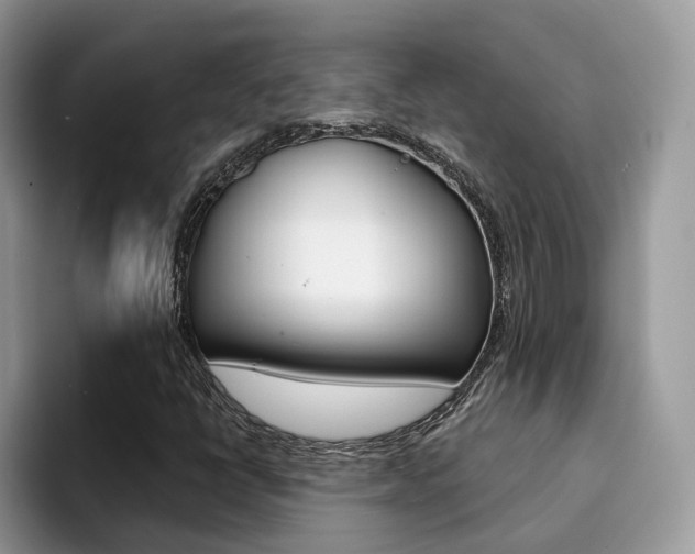 X0000094941398200711291012