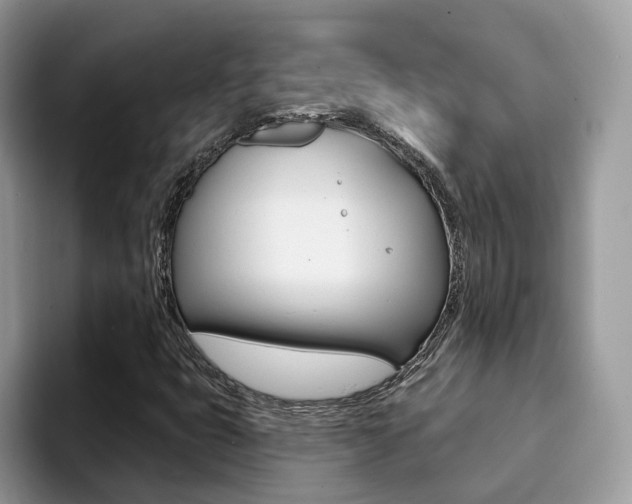 X0000094941399200711291012