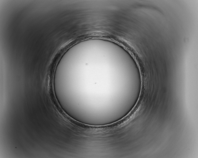 X0000094941402200711291012