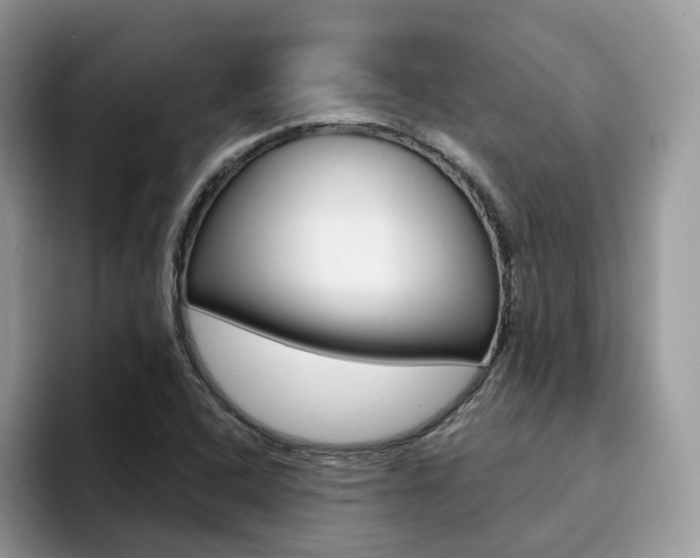 X0000094941408200711291012