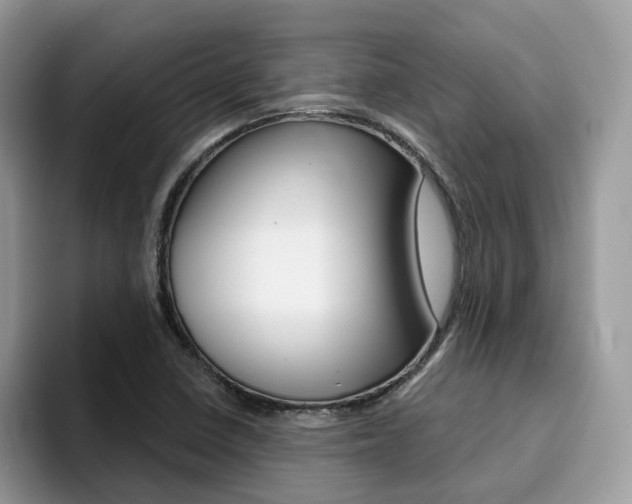 X0000094941410200711291012