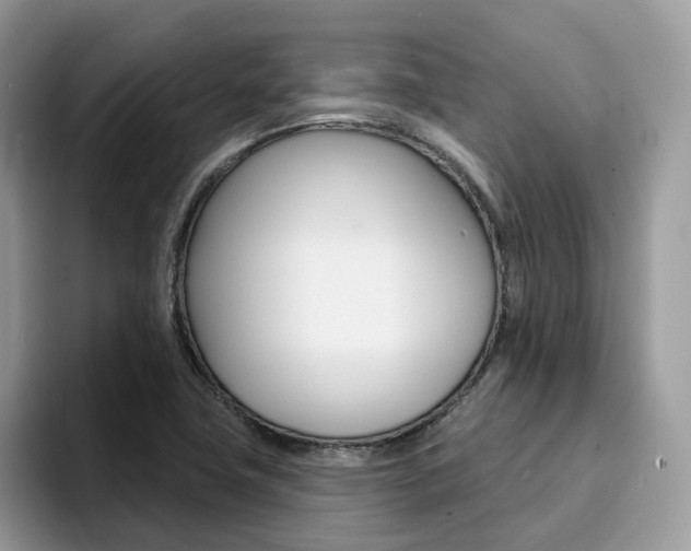 X0000094941411200711291012