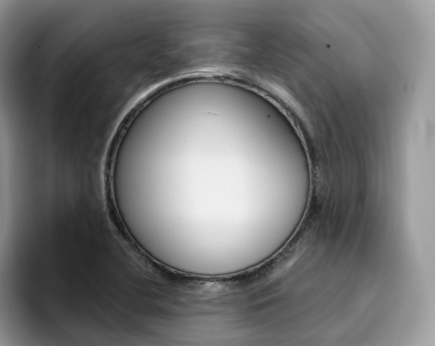 X0000094941412200711291012