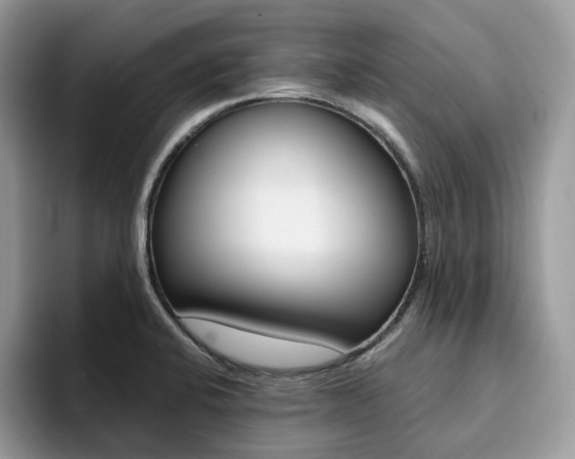 X0000094941424200711291012