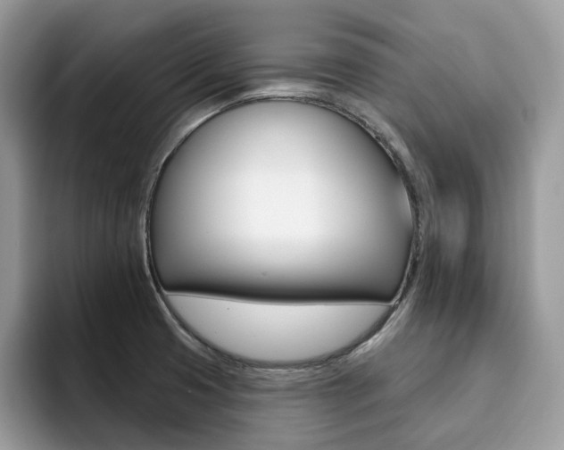 X0000094941425200711291012