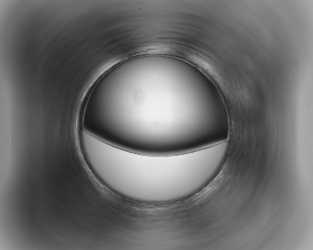 X0000094941426200711291012