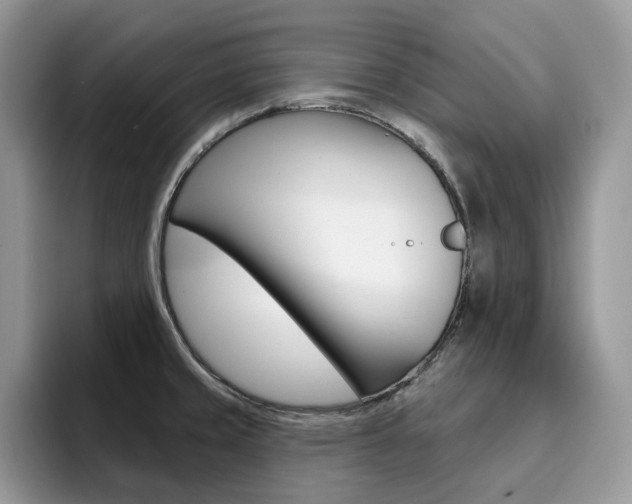 X0000094941429200711291012