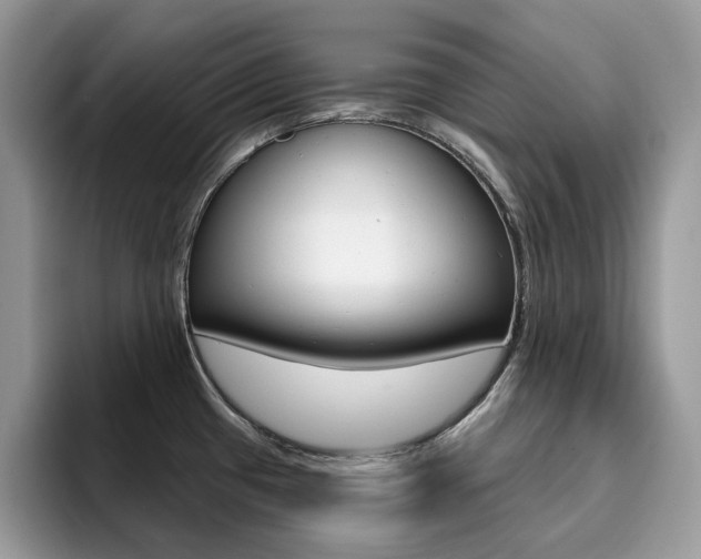 X0000094941433200711291012