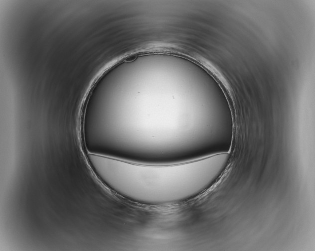 X0000094941437200711291012