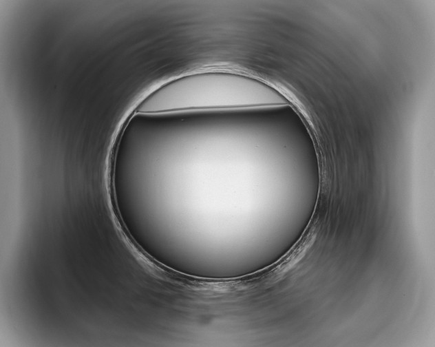 X0000094941438200711291012