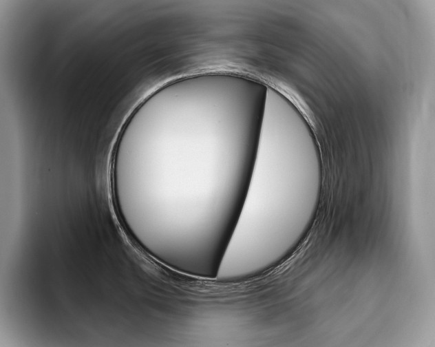 X0000094941439200711291012
