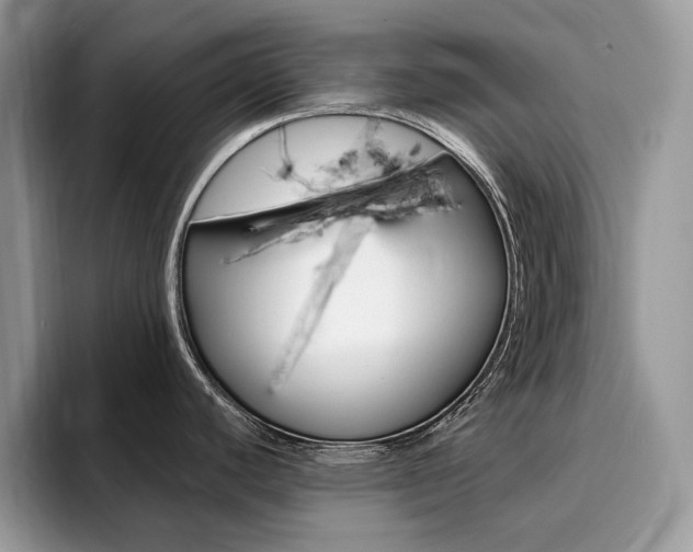 X0000094941440200711291012