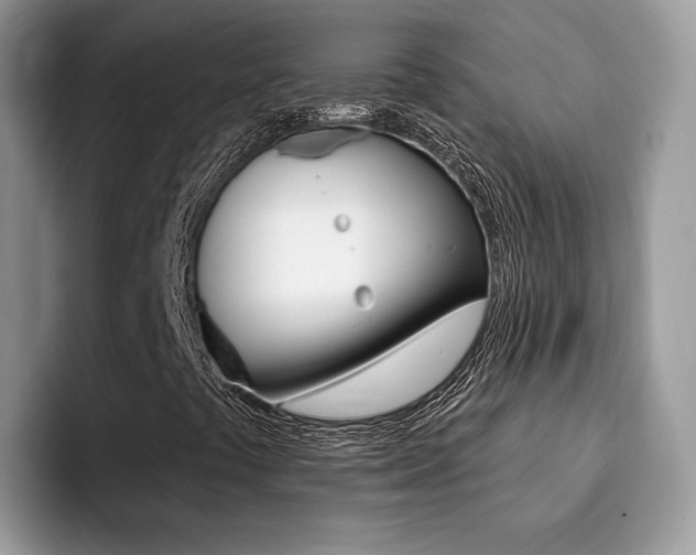 X0000094941441200711291012