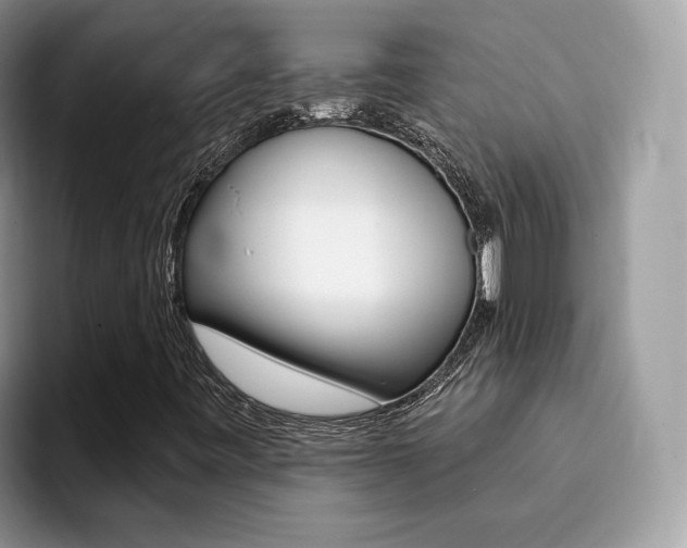 X0000094941443200711291011