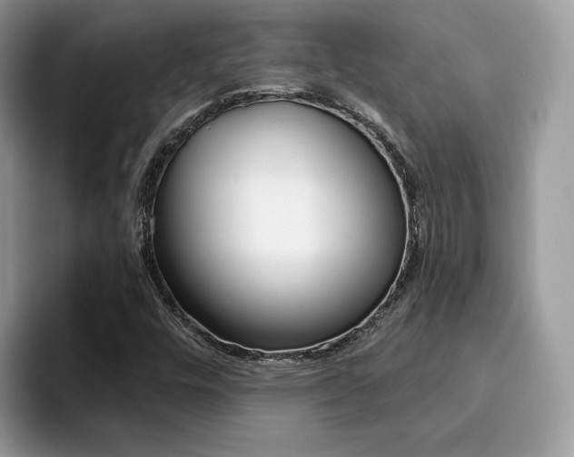 X0000094941448200711291011