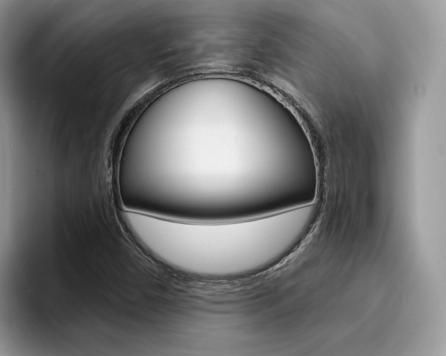 X0000094941450200711291011