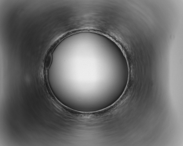 X0000094941452200711291011