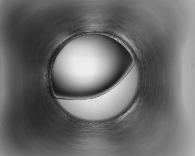 X0000094941453200711291011