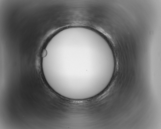 X0000094941454200711291011