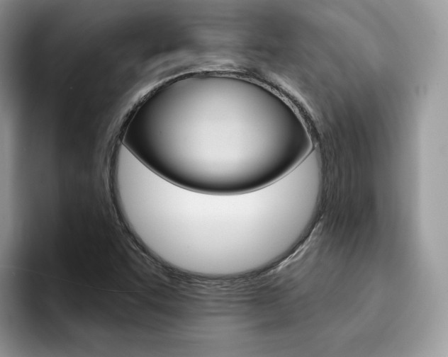 X0000094941455200711291011