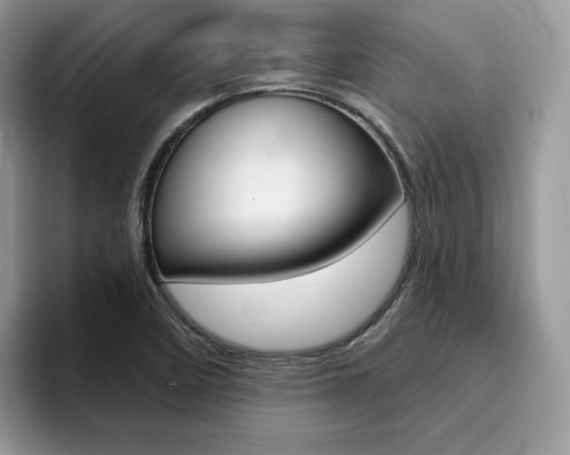 X0000094941458200711291011