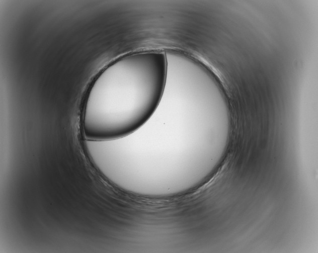 X0000094941459200711291011