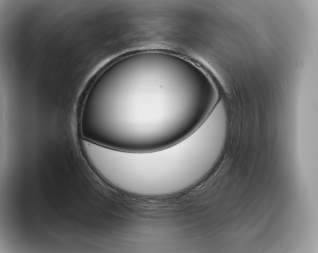 X0000094941460200711291011