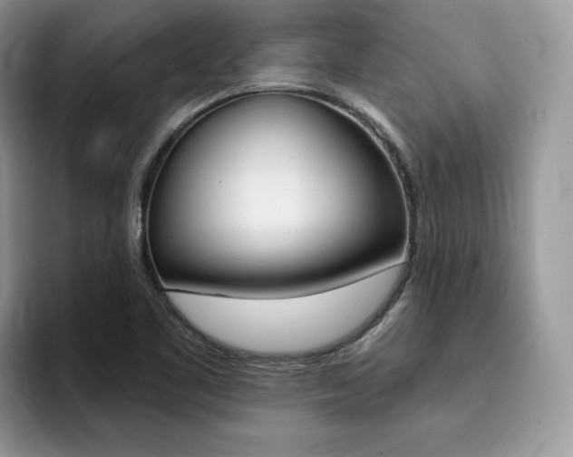 X0000094941461200711291011