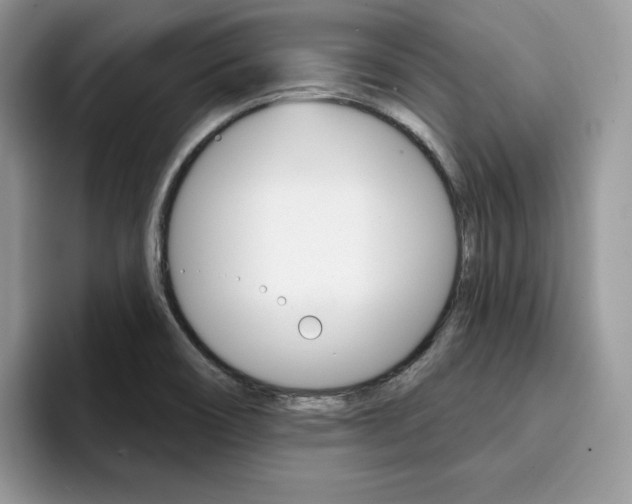 X0000094941466200711291011