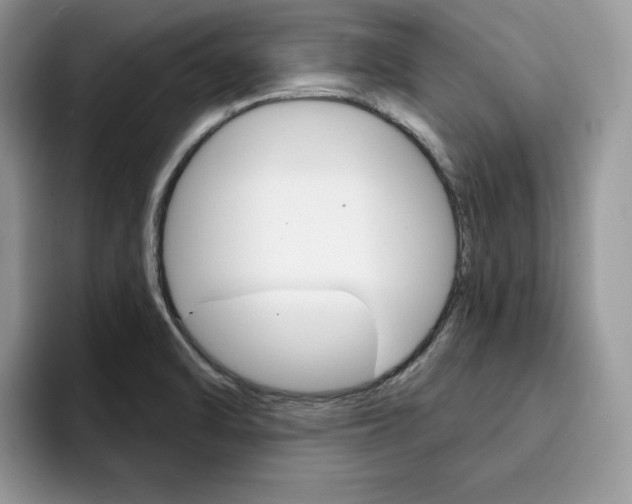 X0000094941470200711291011