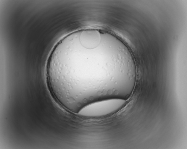 X0000094941471200711291011