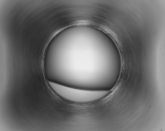 X0000094941473200711291011