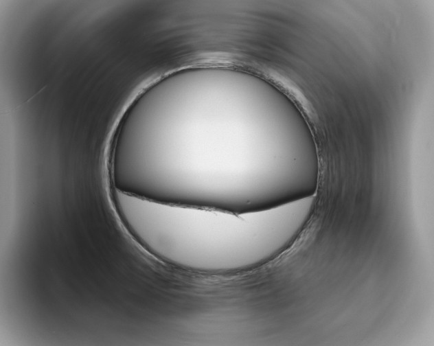 X0000094941475200711291011
