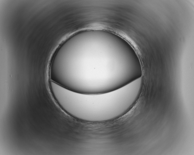 X0000094941477200711291011