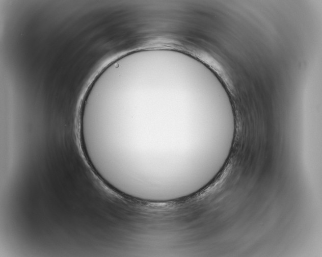 X0000094941478200711291011