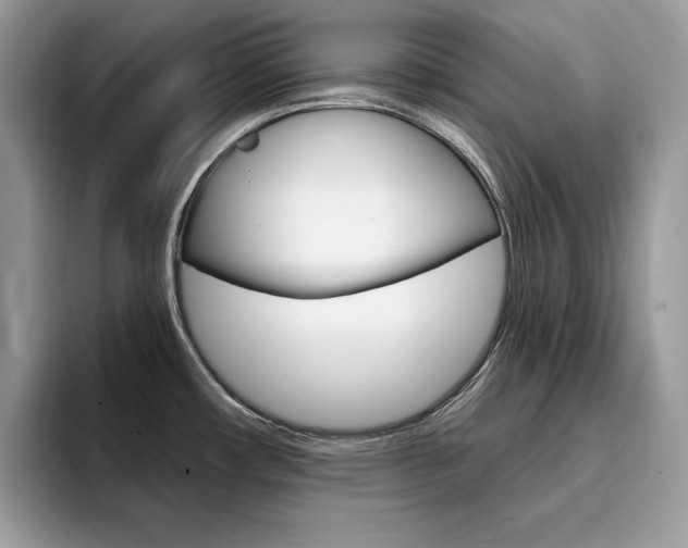 X0000094941482200711291011