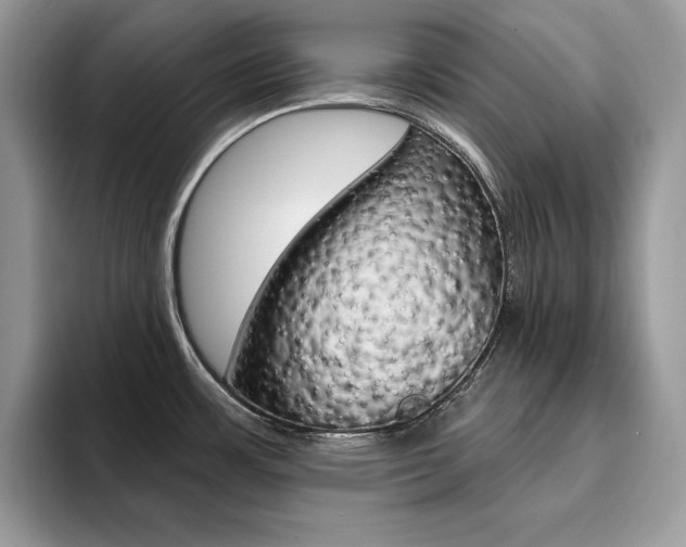 X0000094941483200711291011