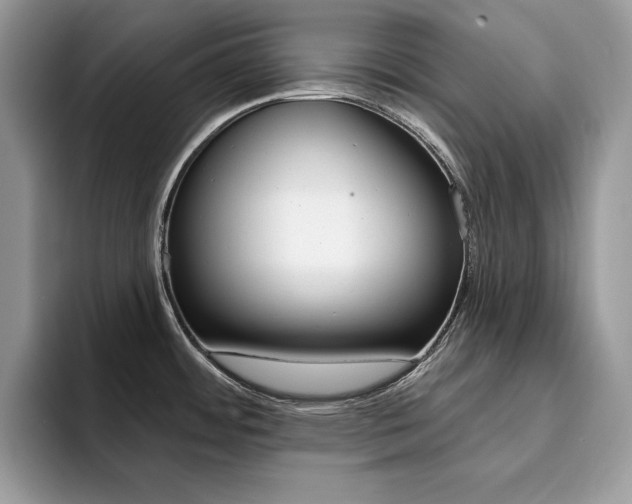 X0000094941484200711291011