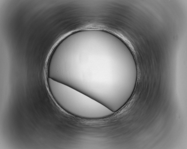 X0000094941486200711291011