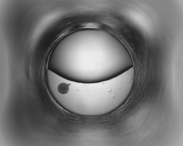 X0000094941487200711291011