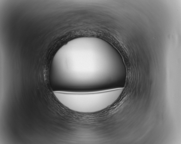 X0000094941490200711291010