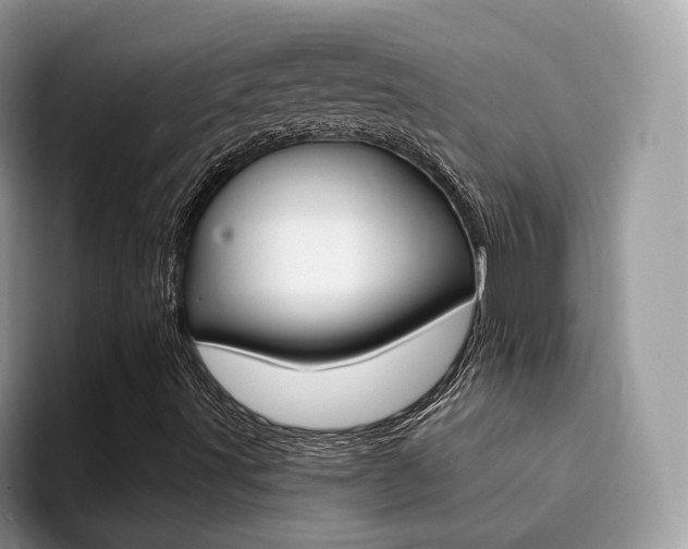 X0000094941491200711291010