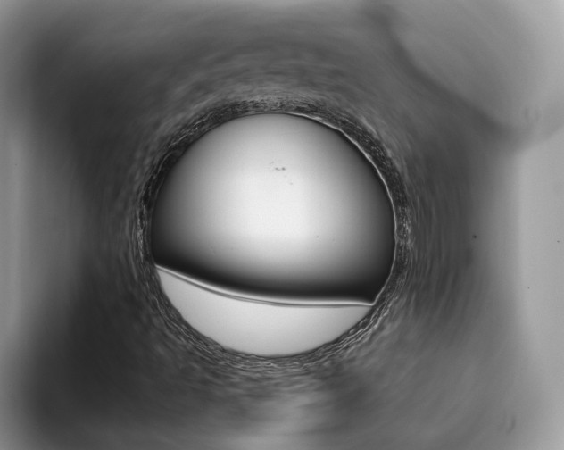 X0000094941493200711291010