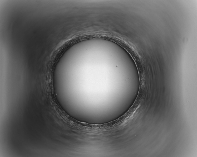 X0000094941494200711291010