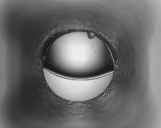 X0000094941495200711291010