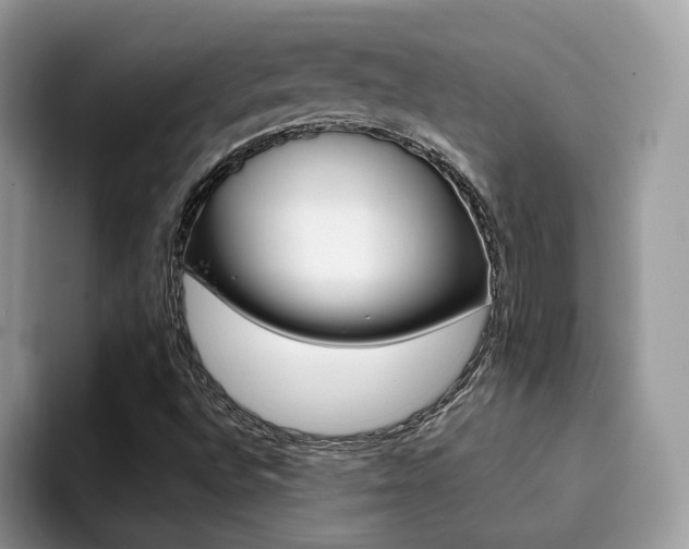 X0000094941496200711291010