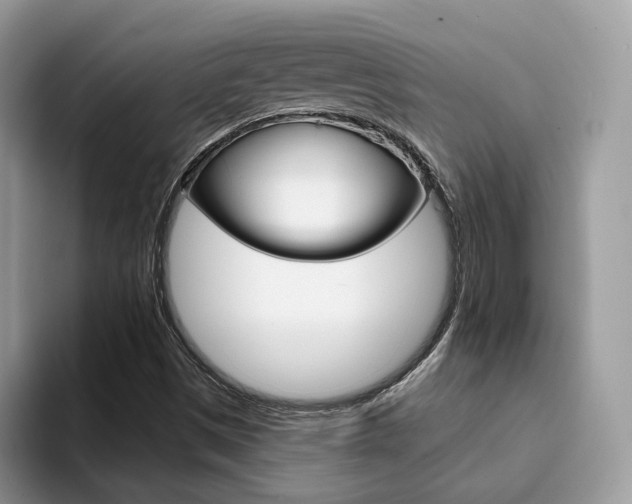 X0000094941497200711291010