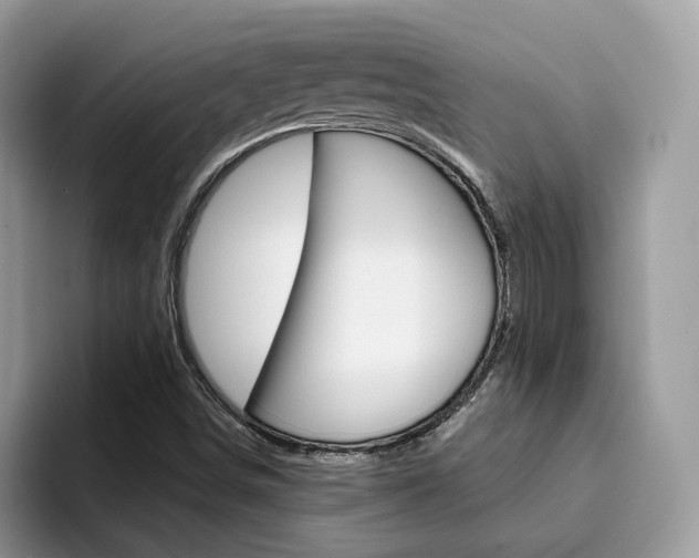 X0000094941498200711291010